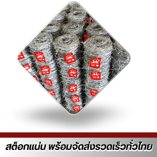 สินค้าสต็อกแน่น พร้อมจัดส่งรวดเร็วทั่วไทย